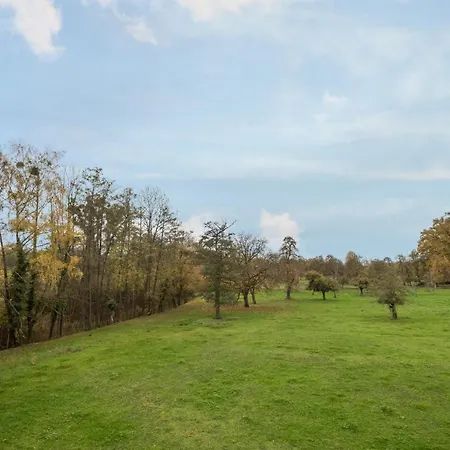 Steinhilber 1 Daire Eriskirch